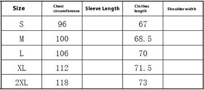 Women's Puff Sleeve V-neck Shirt - Long Sleeve Top
