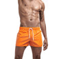 Quick-Drying Sports Shorts - Multicolor Athletic Wear