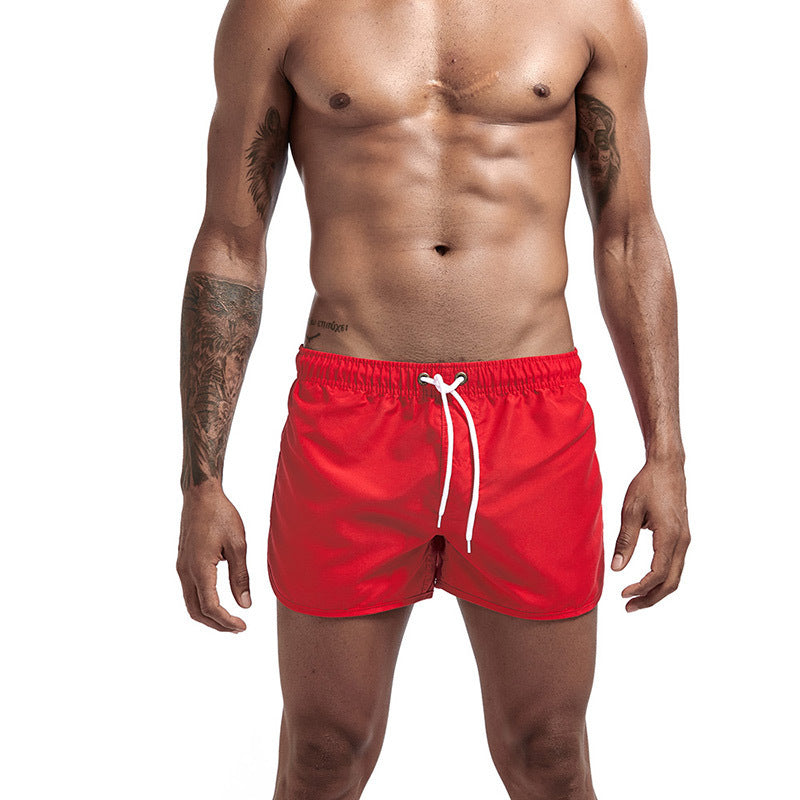 Quick-Drying Sports Shorts - Multicolor Athletic Wear
