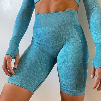 Long-sleeved Seamless Yoga Set Women Gym Tops Shorts