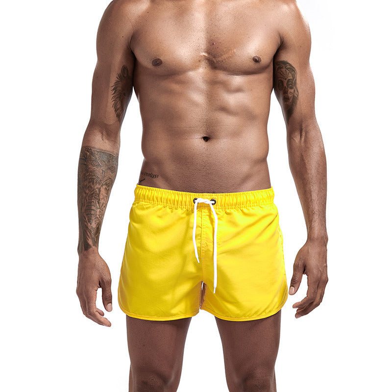 Quick-Drying Sports Shorts - Multicolor Athletic Wear