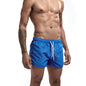 Quick-Drying Sports Shorts - Multicolor Athletic Wear