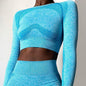 Long-sleeved Seamless Yoga Set Women Gym Tops Shorts