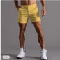Short-Length Trendy Casual Beach Pants for Stylish Summers
